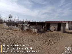 达拉特旗树林召镇五股地村9469平方米闲置房屋及宅基地及配套耕地使用权转让