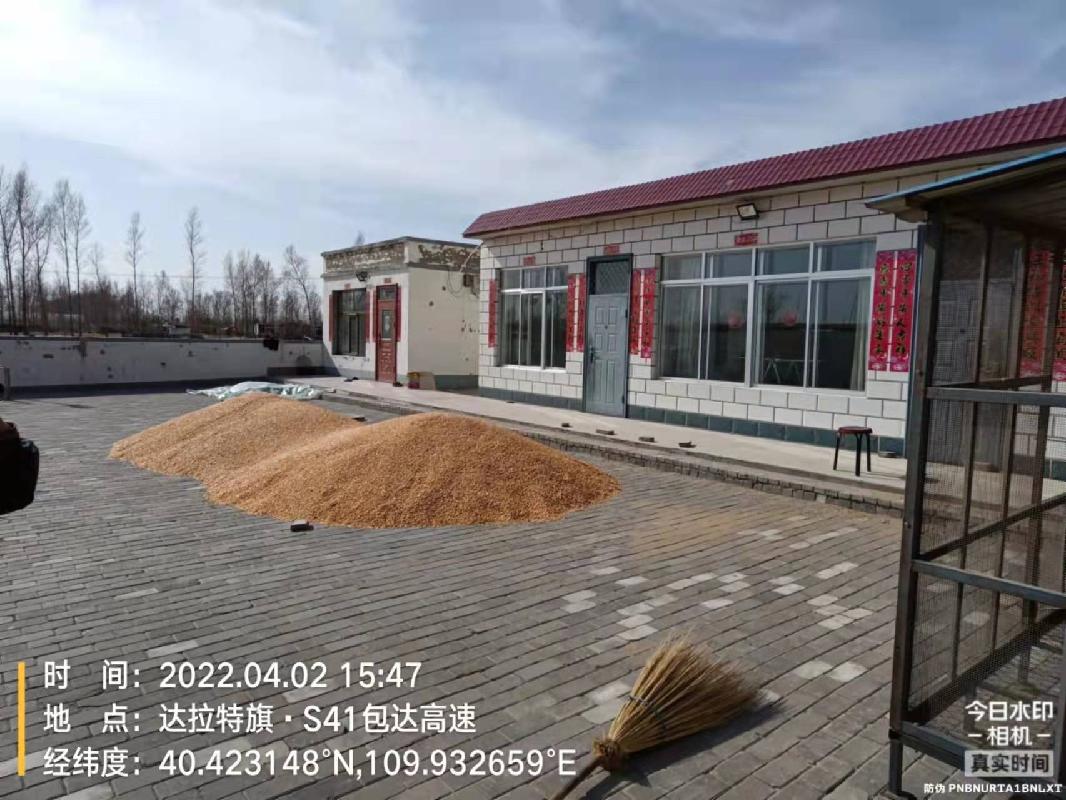 达拉特旗树林召镇五股地村9469平方米闲置房屋及宅基地及配套耕地使用权转让