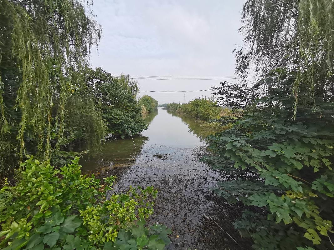 芜湖市湾沚区花桥镇花桥村牡丹沟约14亩水面5年期经营权出租公告