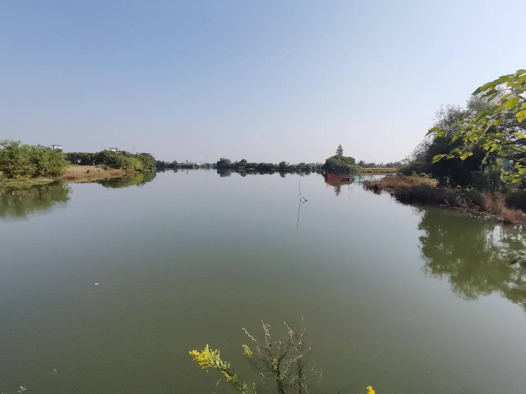 芜湖市湾沚区六郎镇加元村5处水面5年期经营权出租公告