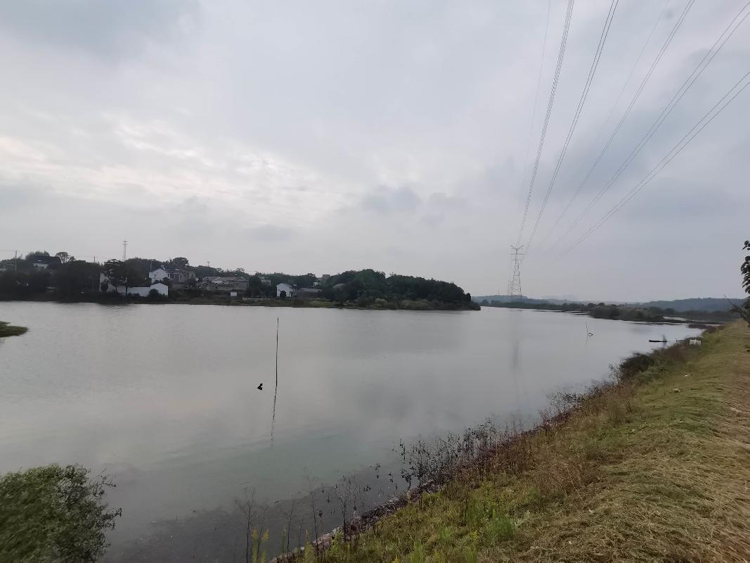 芜湖市湾沚区花桥镇花桥村斗山河池约100亩水面5年期经营权出租公告